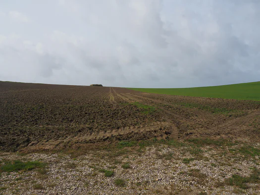 Cran de Quette, Cap Gris-Nez (Frankrijk)